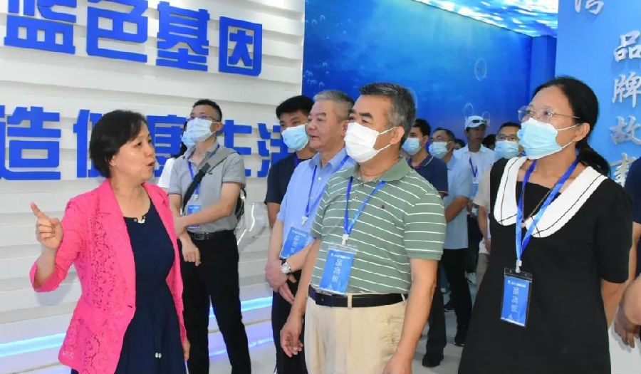 海峡职工论坛代表莅临BCK体育科技交流高质量生长履历_政府来访_BCK体育