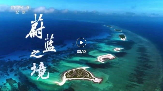 火了！第6次上岸央视！_媒体关注_BCK体育